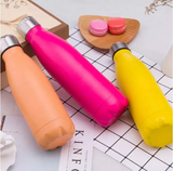 12 Pieces Pack Vacuum Insulated Water Bottle Double Walled Stainless Steel
