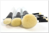 10 pcs Professional Makeup Brushes