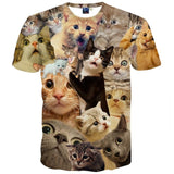 Mr.1991 INC Cats T-shirt 3d Print