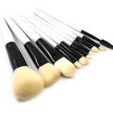 10 pcs Professional Makeup Brushes