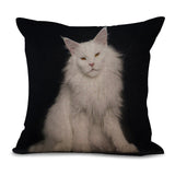 Cat Pillow Cases