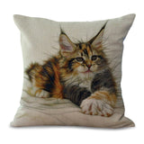 Cat Pillow Cases