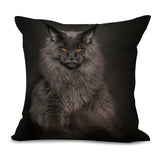 Cat Pillow Cases